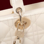 Christian Dior Small Lady D-Joy Bag